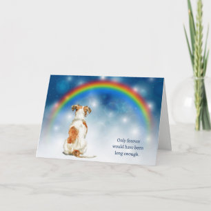 Tarjeta Festiva Pérdida de Luces Nocturnas de Terrier Jack Russell