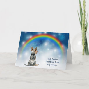 Tarjeta Festiva Pérdida de luces nocturnas de Yorkshire Terrier