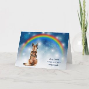 Tarjeta Festiva Pérdida de luces nocturnas para perros Malinois be
