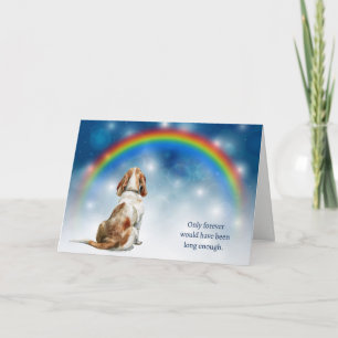 Tarjeta Festiva Pérdida de Perro Basset Hound Noche Arcoíris Simpa