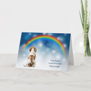 Tarjeta Festiva Pérdida de Perro Sabueso Beagle Noche Arcoíris Sim