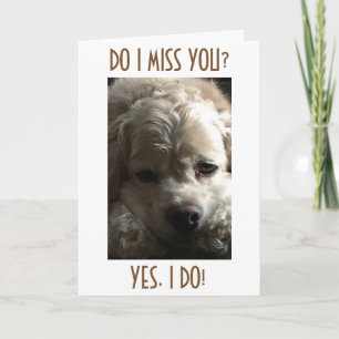 TARJETA FESTIVA PERDONES TODO EL AÑO, PERO LA MAYORÍA EN NAVIDADES