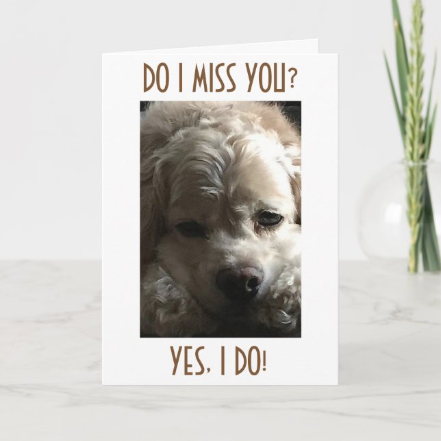 TARJETA FESTIVA PERDONES TODO EL AÑO, PERO LA MAYORÍA EN NAVIDADES (Anverso)