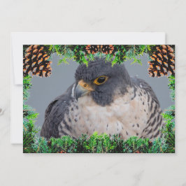 Tarjeta Festiva Peregrine Falcon Christmas Card by Debbie Quick