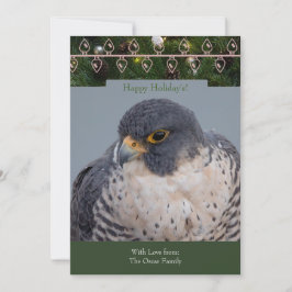 Tarjeta Festiva Peregrine Falcon Christmas Card by Debbie Quick