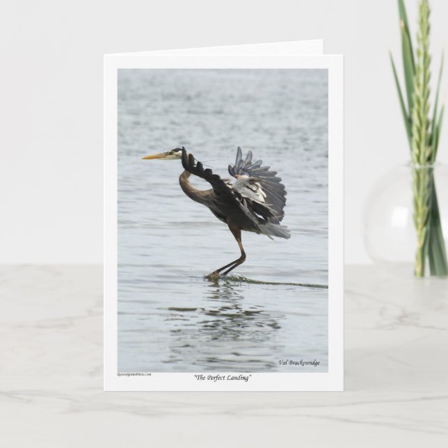 Tarjeta Festiva Perfecto regalo de garza azul (Anverso)