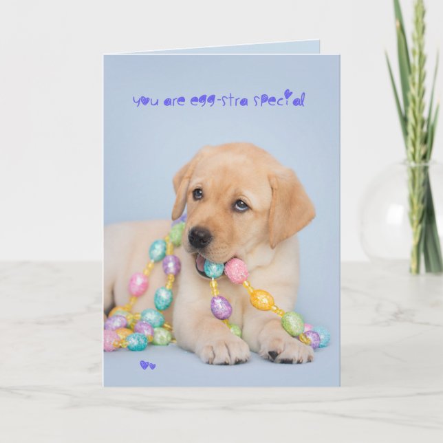Tarjeta Festiva Perrito amarillo especial pascua de Eggstra (Anverso)