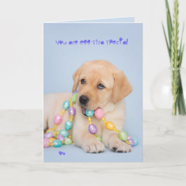 Tarjeta Festiva Perrito amarillo especial pascua de Eggstra