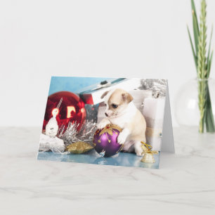 Tarjeta Festiva Perrito chihuahua sostiene bola a Navidades