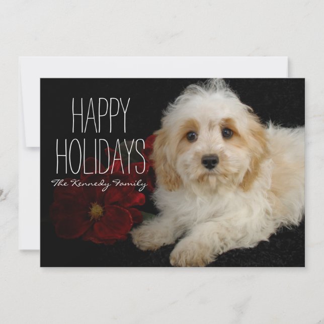 Tarjeta Festiva Perrito de Chrirstmas Cavachon (Anverso)