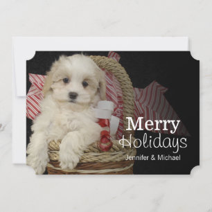 Tarjeta Festiva Perrito de Cristmas Malti-poo que se sienta en