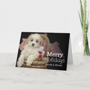 Tarjeta Festiva Perrito de Cristmas Malti-poo que se sienta en