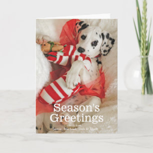 Tarjeta Festiva Perrito de Dalmation con el almacenamiento del