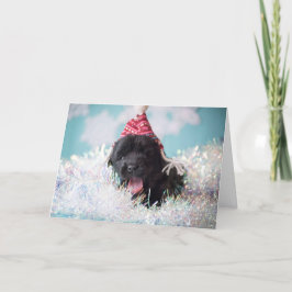 Tarjeta Festiva Perrito de Newfie de los saludos de las estaciones