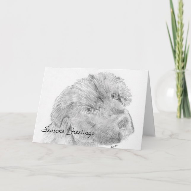 Tarjeta Festiva Perrito de Terranova (Anverso)