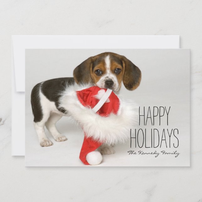 Tarjeta Festiva Perrito del beagle (Anverso)