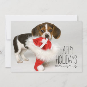 Tarjeta Festiva Perrito del beagle