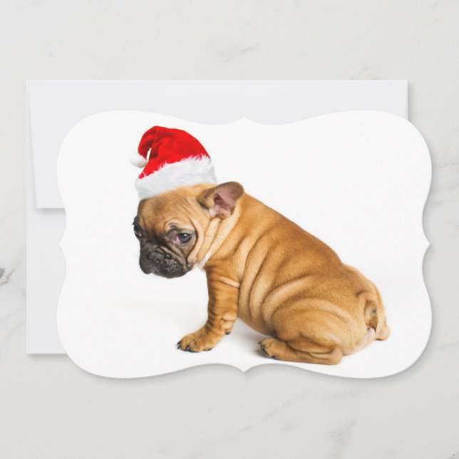 Tarjeta Festiva Perrito del bulldog francés que lleva un gorra de (Anverso)