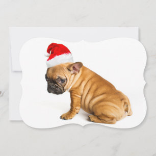 Tarjeta Festiva Perrito del bulldog francés que lleva un gorra de