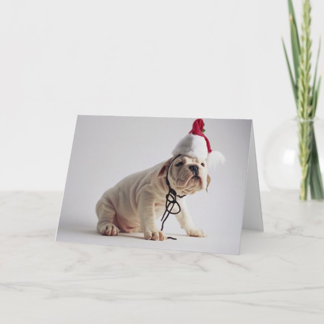 Tarjeta Festiva Perrito del bulldog que lleva el gorra de Santa (Anverso)