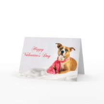 Perrito feliz de Pitbull del día de San Valentín