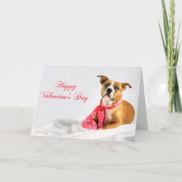 Tarjeta Festiva Perrito feliz de Pitbull del día de San Valentín