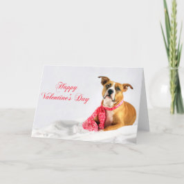Tarjeta Festiva Perrito feliz de Pitbull del día de San Valentín