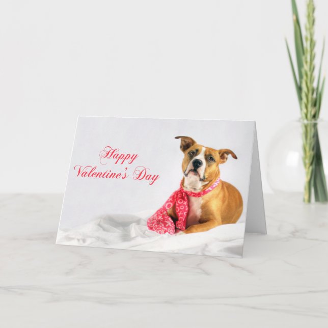Tarjeta Festiva Perrito feliz de Pitbull del día de San Valentín (Anverso)