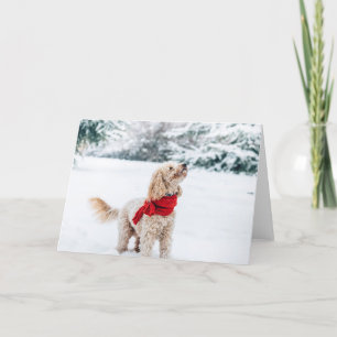Tarjeta Festiva Perrito lindo con bufanda roja