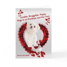 Perrito maltés - ¡Super Cute tienes correo!