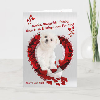 Tarjeta Festiva Perrito maltés - ¡Super Cute tienes correo!