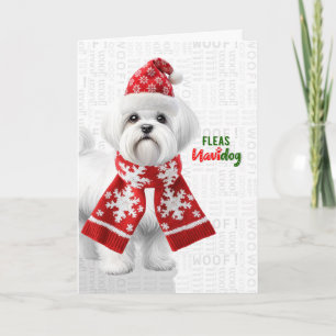 Tarjeta Festiva Perrito Shi Tzu Lindo Pulgas Divertidas Navidog Na