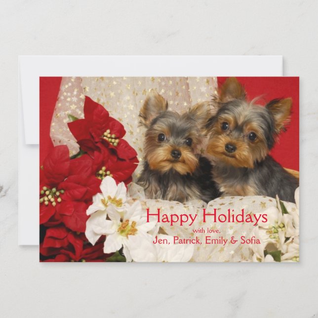 Tarjeta Festiva Perritos de Yorkie con los Poinsettias (Anverso)