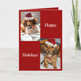 Tarjeta Festiva perritos del ronni