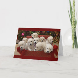 Tarjeta Festiva Perritos felices del golden retriever del día de