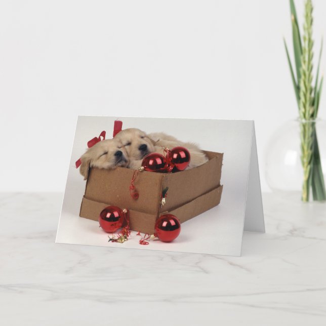 Tarjeta Festiva Perritos lindos de Labrador con las chucherías de (Anverso)