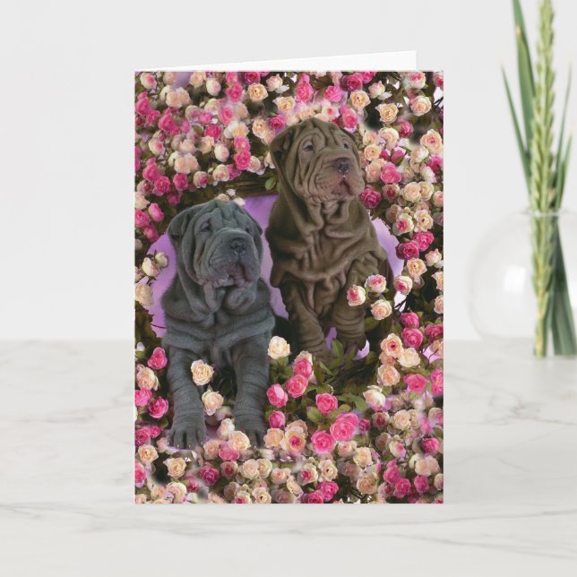Tarjeta Festiva Perritos lindos del pei de Shar en una cama de (Anverso)