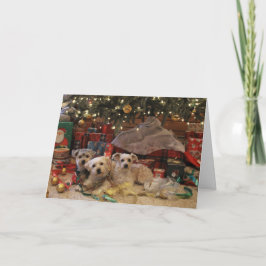 Tarjeta Festiva Perritos traviesos y agradables