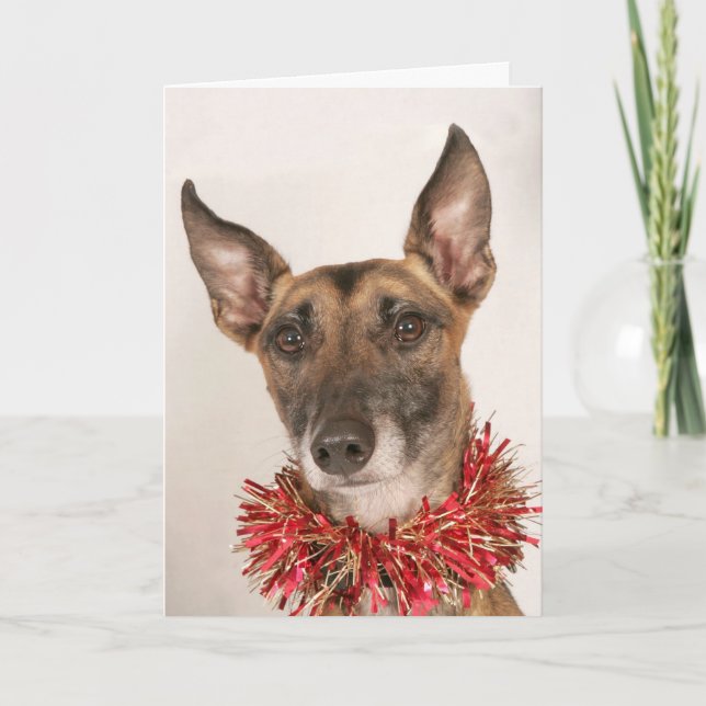 Tarjeta Festiva Perro 1 Navidades (Anverso)