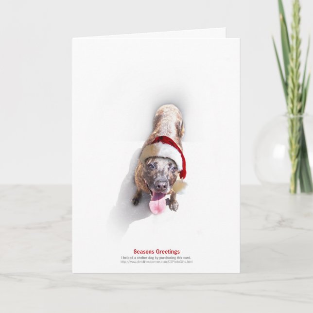 Tarjeta Festiva Perro 2 del refugio del día de fiesta (Anverso)