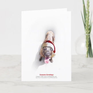 Tarjeta Festiva Perro 2 del refugio del día de fiesta