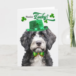 Tarjeta Festiva Perro acuático portugués afortunado Día de San Pat