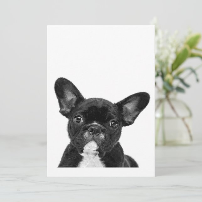 Tarjeta Festiva Perro Adorable | Cara de Bulldog francesa negra (Anverso de pie)