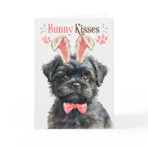 Perro Affenpinscher en orejas de conejo por Pascua