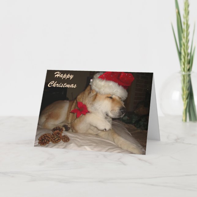 Tarjeta Festiva Perro akita dulce que da navidades del cono de la  (Anverso)