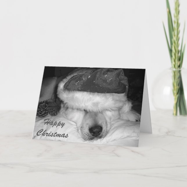 Tarjeta Festiva Perro akita lindo santa sombrero conejo navidades  (Anverso)