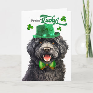 Tarjeta Festiva Perro Barbet sintiéndose afortunado día de San Pat