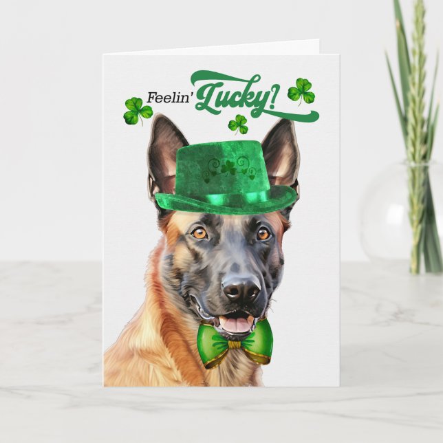 Tarjeta Festiva Perro belga malinois con suerte Día de San Patrici (Anverso)