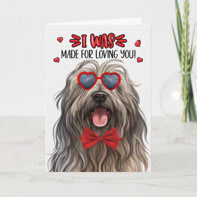 Tarjeta Festiva Perro Bergamasco hecho para amarte San Valentín (Anverso)