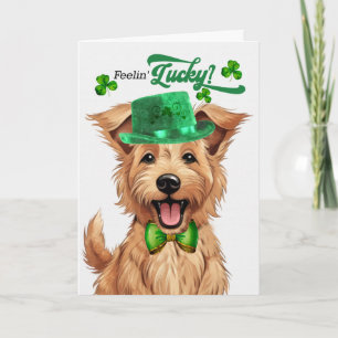 Tarjeta Festiva Perro Berger Picard Día de San Patricio Afortunado